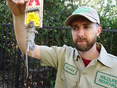 Myrtle Beach pest control